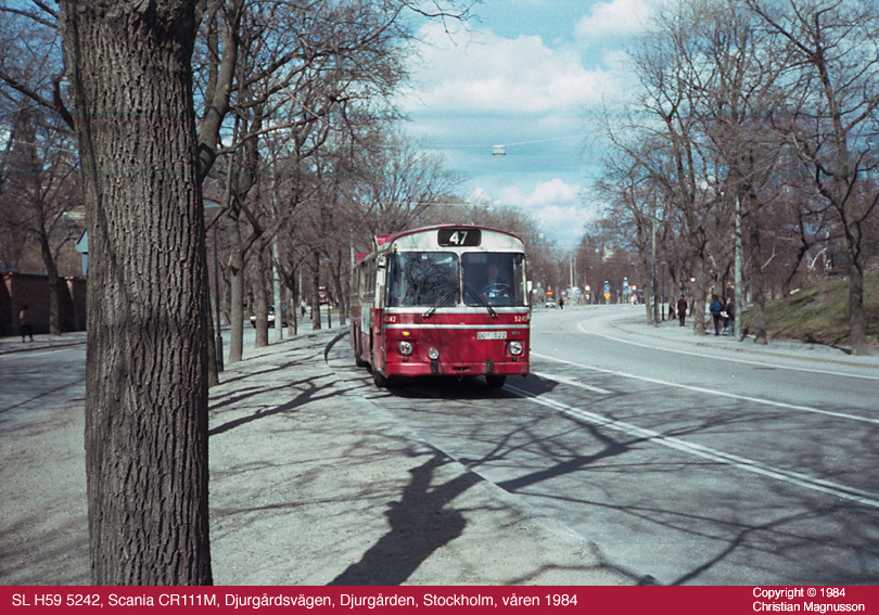 sl5242_19840000.jpg - Det här är alltså min allra första bussbild. Jag har gått ut på Djurgården och ställt mig på pass med min lilla fixfokuskamera av märket Konika. Upp dyker denna H59, dvs en Scania CR111M och bilden är ett faktum.